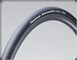 Panaracer: VALIANT EVO 3 Protexの画像