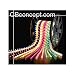 Amber 100 FT 110V-120V LED Rope light Kit, 1.0" LED spacing, Christmas Lighting, Outdoor rope light image 4