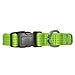 Pawtitas Reflective Dog Collar Adjustable Dog Collars for Medium Dogs Puppy Collar Medium Dog Collar Green Dog Collar
