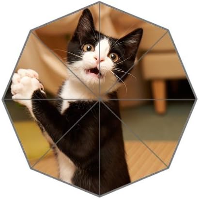 Bout it!! Custom Cool Design Funny Black And White Cat Printed Portable Fashion Foldable Umbrella