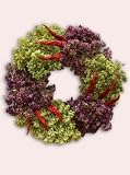 Mama Mia Oregano Wreath