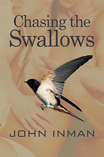 chasing the swallows