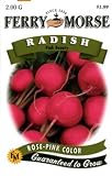 Ferry-Morse 1955 Radish Seeds, Pink Beauty (2 Gram Packet)