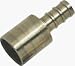 Watts Water Technologies WP11B-1212PB Brass Sweat Adapter Coupling