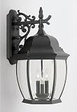 Designers Fountain Tiverton Outdoor Lighting - Black - B000JZQWUS