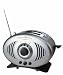 Kitchen & Housewares : Kenwood TT756SL 2-Slice Radio Toaster with FM Radio