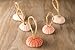Hinterland Trading Christmas Pink Sea Urchin Ornaments Set of 5 Adorable Urchins for Year Round Decorating