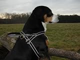 Eigenschaften Limex  / Hundegeschirr Reflex 70-80 Limex, schwarz