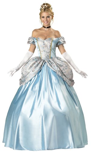 Plus Size Cinderalla Princess Ball Gown Costume