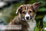 Hundekinder Posterkalender 2012