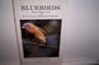 Bluebirds: Their Daily Lives and How to Attract and Raise Bluebirds