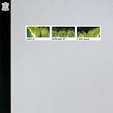 Slipthrough [12" VINYL]