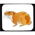 Mouse Pad with captivity, mammal, rodent, gundi, zoo, animal, gnawing
