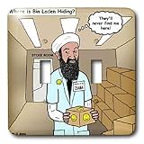 Rich Diesslins Funny General - Editorial Cartoons - Osama Bin Laden Hiding Place - Light Switch Covers - double toggle switch