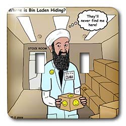 Rich Diesslins Funny General - Editorial Cartoons - Osama Bin Laden Hiding Place - Light Switch Covers - double toggle switch