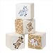 Zooluland Rattle Cubes - Pack of 4