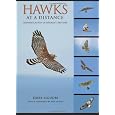 Hawks at a Distance: Identification of Migrant Raptors