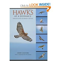 Hawks at a Distance: Identification of Migrant Raptors