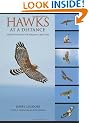 Hawks at a Distance: Identification of Migrant Raptors