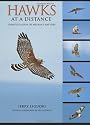 Hawks at a Distance: Identification of Migrant Raptors