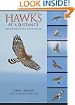Hawks at a Distance: Identification o...