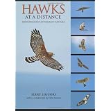 Hawks at a Distance: Identification of Migrant Raptors ~ Jerry Liguori