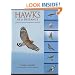 Hawks at a Distance: Identification of Migrant Raptors