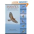 Hawks at a Distance: Identification of Migrant Raptors