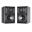 Truth B2030P Studio Monitor