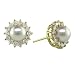 1/2 ct. tw. Diamond and Fresh Water Cultured Pearl Earrings