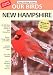 Birds of New Hampshire v3.9