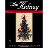 the kidney from normal development to congenital disease