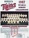 Minnesota Twins 1987 World Series Champions 13x16 Plaque