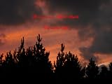 B-O-G-I-N-A - Die andere Seite (B-O-G-I-N-A - Spirit/Mystik)