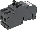 Connecticut Electric UBIZ2100 Zinsco Circuit Breaker, 2-Pole 100-Amp Thick Series