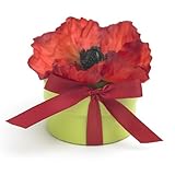 Bloembox Original: Flanders Poppy in Gift Box
