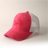 Reebok Detroit Lions Light Blue Rebel Flex Fit Hat
