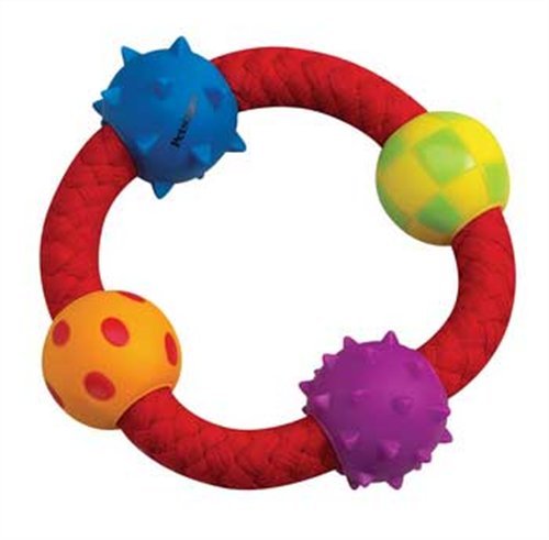 Petstages Multi Texture Chew Ring