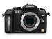 Panasonic Lumix G2 12.1MP Compact System Camera Body - Black