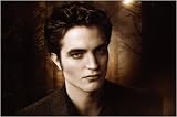The Twilight Saga: New Moon Merchandise - Pillow Case / Cover (Edward Cullen) (Size: 30" x 20")
