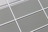 SAMPLE of Light Grey 3" x 6" Glass Subway Tile for Kitchen Backsplash or Bathroom - Free Shipping!