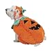 Z & Z Pumpkin Pooch Costume Lrg