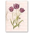 Thinking of You with purple tulips - 5" x 7" Vellum Overlay Greeting Card