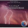 Electrifying Thunderstorms