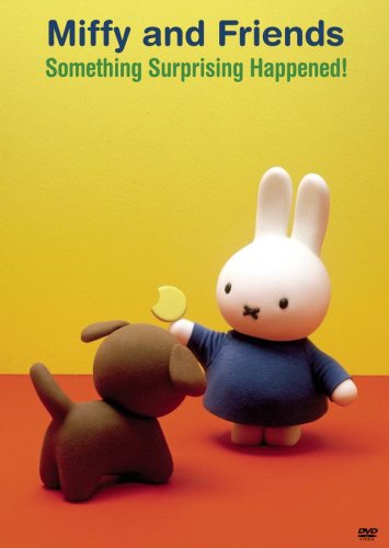 Something Surprising Happened [DVD] [Region 1] [US Import] [NTSC]