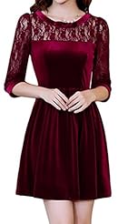 Petite A-line Velvet Lace Mini Dress 