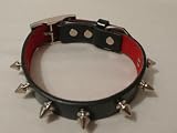 Hundehalsband mit Nieten in Schwarz