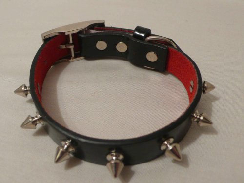Hundehalsband mit Nieten in Schwarz