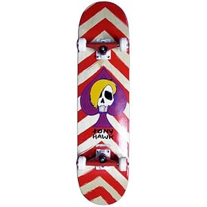 Birdhouse Tony Hawk McSqueeb Skull Complete Skateboard 2010 by