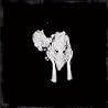 Image of album by Sigur R�s
